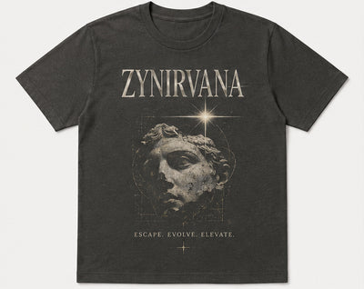 Graphic T-Shirt Evolve Statue Design Grey