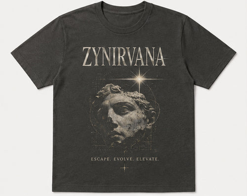 Graphic T-Shirt Evolve Statue Design Grey